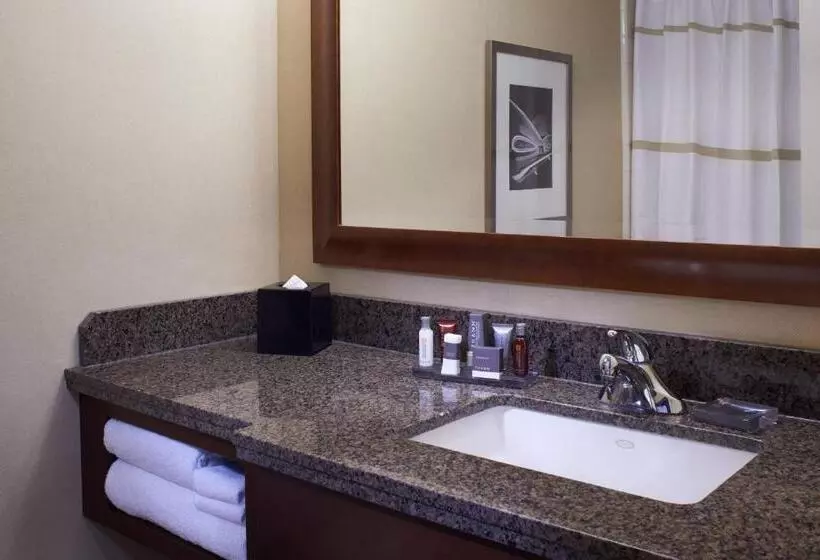 اتاق استاندارد با 2 تخت دوبل, Detroit Marriott At The Renaissance Center