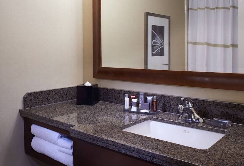 带2个双人床的标准工作室, Detroit Marriott At The Renaissance Center