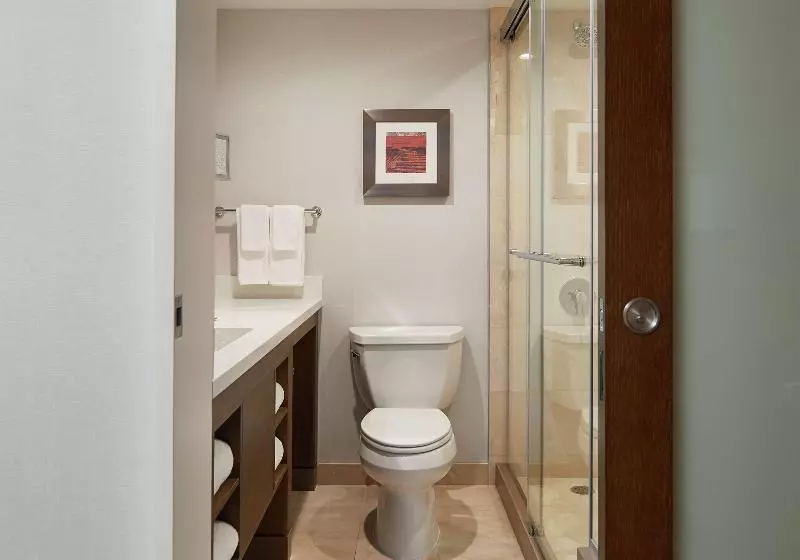 اتاق استاندارد با تخت بزرگ, Doubletree By Hilton Torrance South Bay