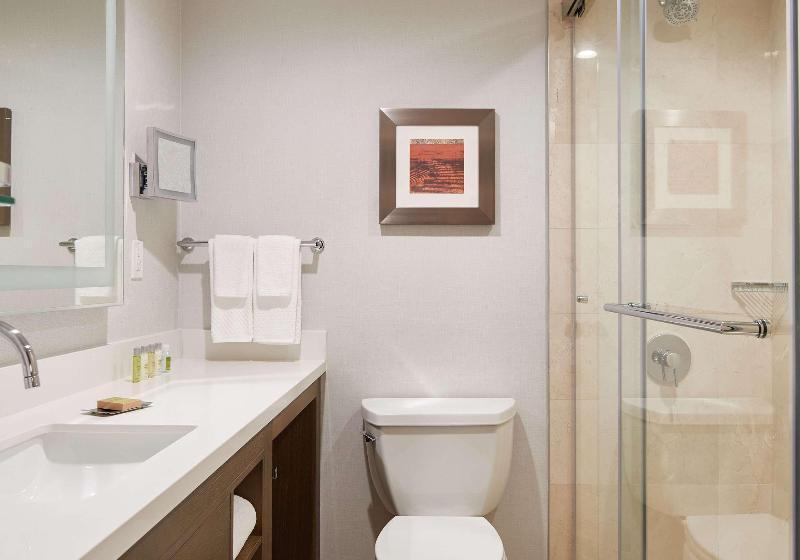 스탠다드 룸 킹사이즈 침대, Doubletree By Hilton Torrance South Bay
