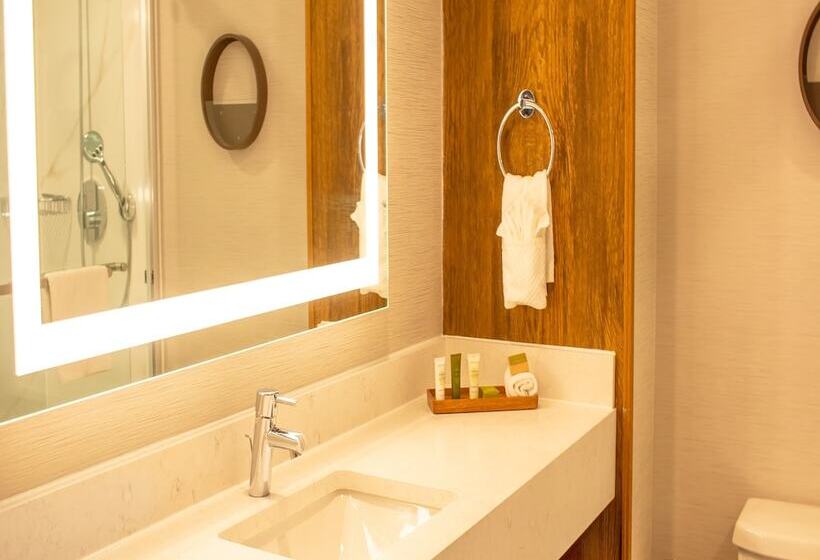 小型套房, Hilton Hasbrouck Heights/meadowlands