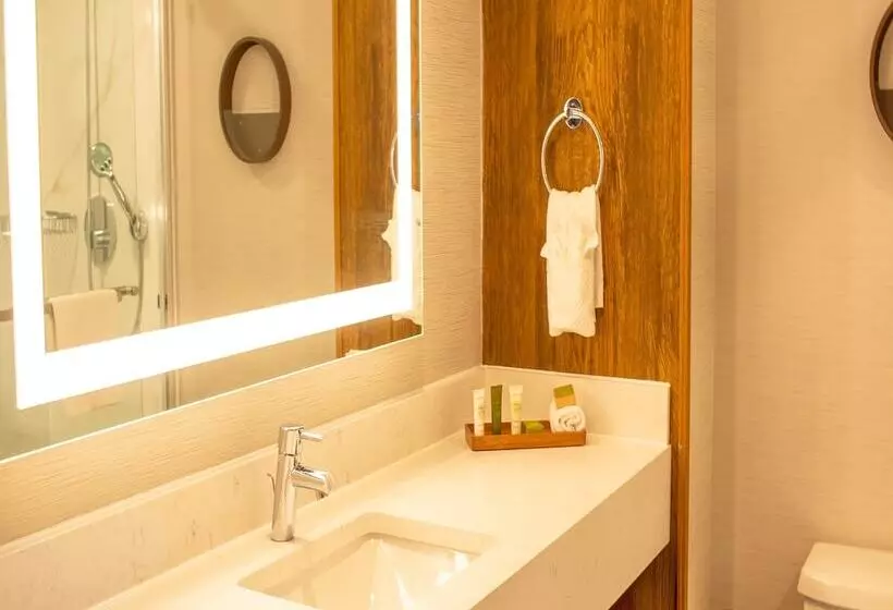 ジュニアスイート, Hilton Hasbrouck Heights/meadowlands