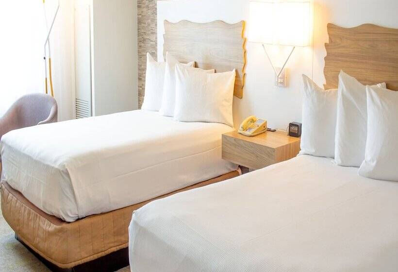Номер Стандарт 2 Двуспальные Кровати, Hilton Hasbrouck Heights/meadowlands