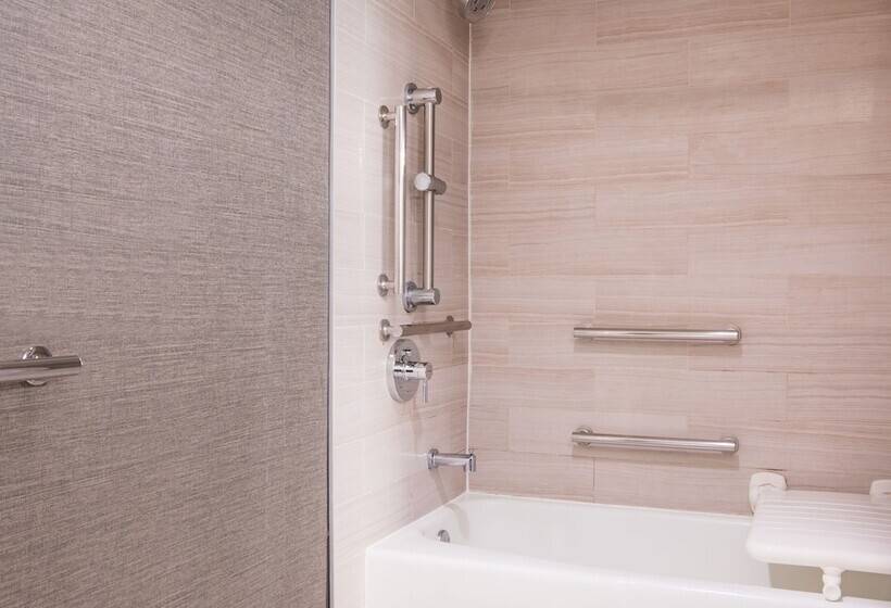 带2个双人床的标准工作室, Hilton Parsippany