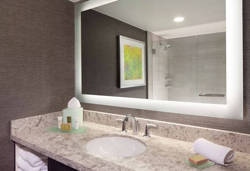 标准间, Hilton Parsippany