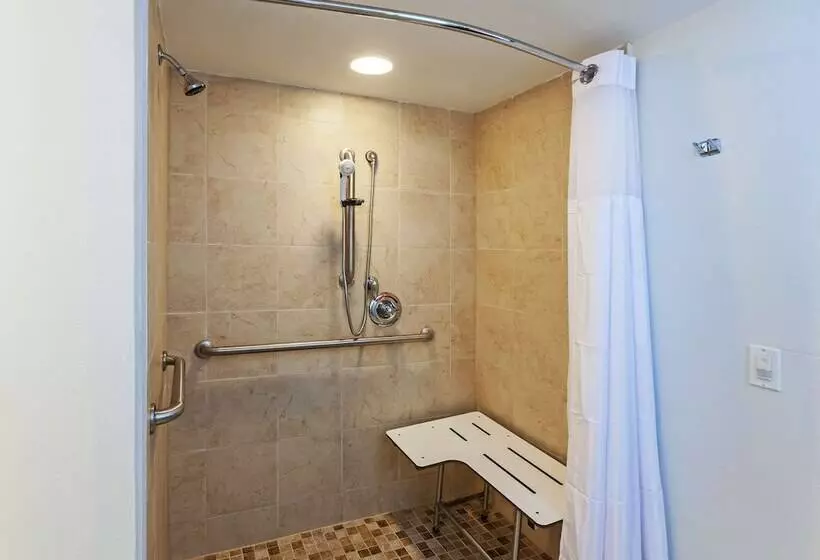 障害者適応デラックスルーム, Hilton Waco