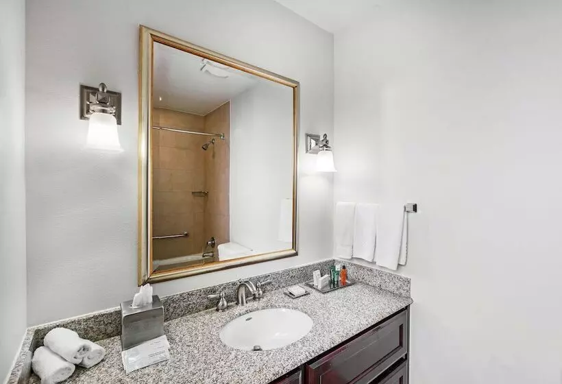 障害者適応デラックスルーム, Hilton Waco