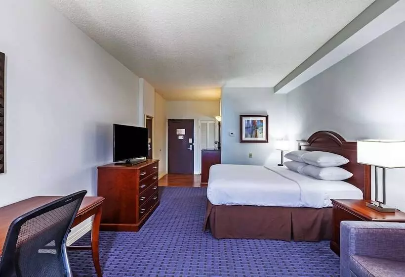 障害者適応デラックスルーム, Hilton Waco