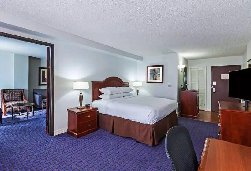キングサイズベッドのスタンダードルーム, Hilton Waco