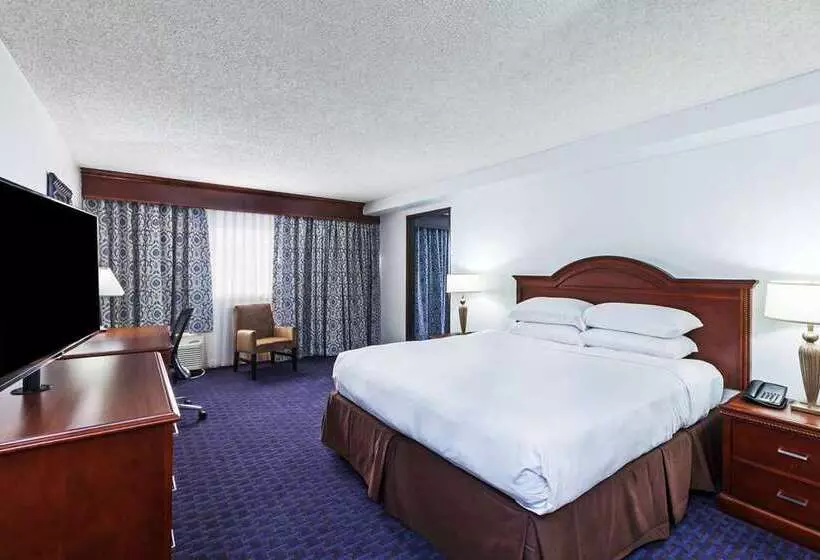 キングサイズベッドのスタンダードルーム, Hilton Waco