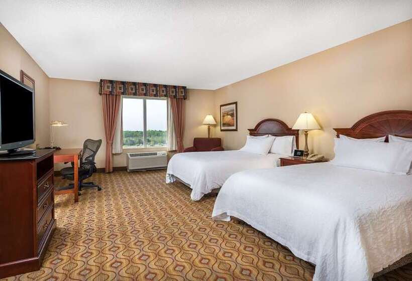 غرفة ديلوكس سرير ملكى, Hilton Waco