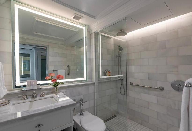 اتاق سوپریور با تخت بزرگ, Monteleone, New Orleans