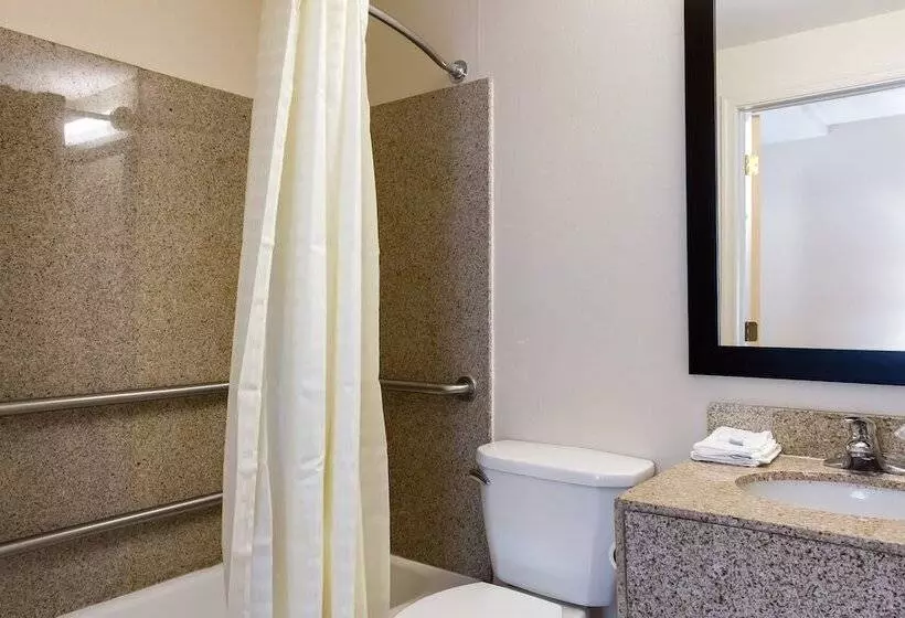 身障者適用スイートルーム, Red Roof Inn York Downtown
