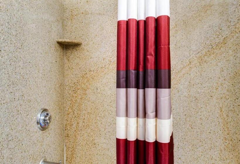 스탠다드 룸 킹사이즈 침대, Red Roof Inn York Downtown