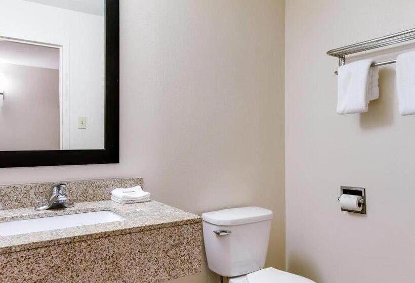 디럭스 룸, Red Roof Inn York Downtown