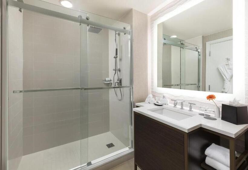 غرفة كلاسيكية مطلّة علي المدينة, The Westin New Orleans