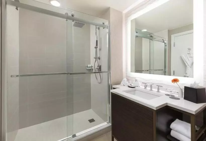 シティビュークラシックルーム, The Westin New Orleans