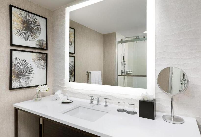 غرفة ديلوكس سرير كينج مطلة على المدينة, The Westin New Orleans