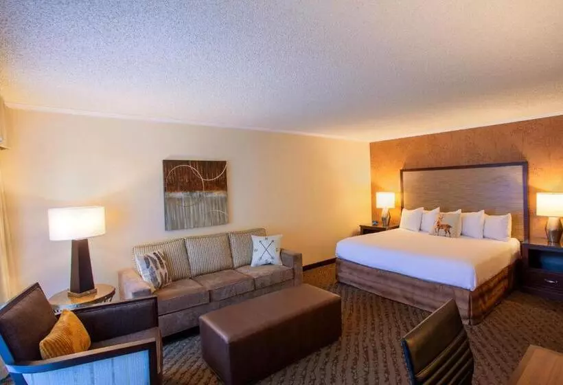 身障者適用キングサイズベッドルーム, Valley River Inn