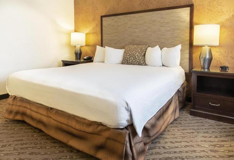 身障者適用キングサイズベッドルーム, Valley River Inn