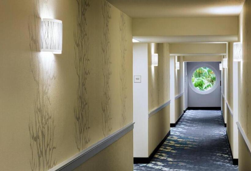 클래식 룸 킹 침대, Walt Disney World Dolphin