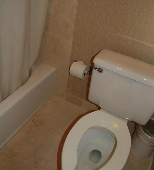 Номер Стандарт 2 Двуспальные Кровати, Windsor Inn