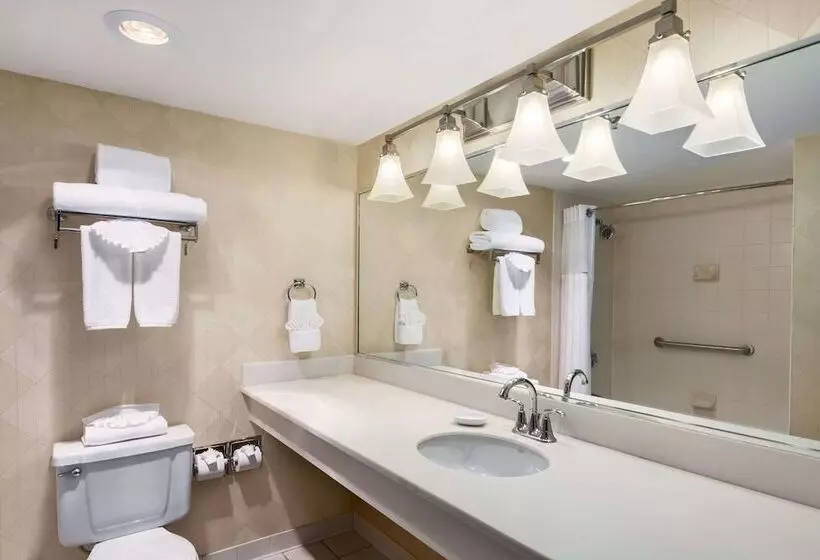 スイート, Wyndham Garden Dallas North