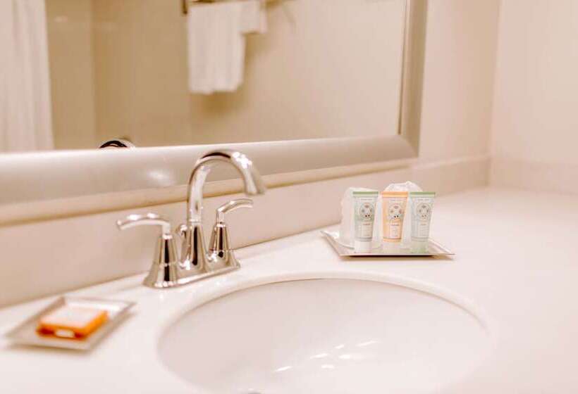 סוויטה, Wyndham Garden Dallas North