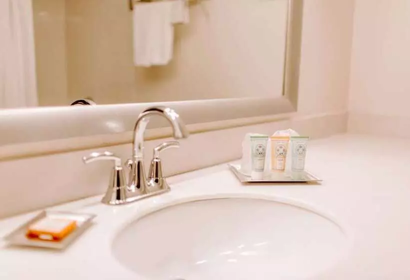 スイート, Wyndham Garden Dallas North