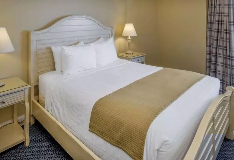 ダブルベッドのスタンダードスタジオ, Hilton Vacation Club The Cove On Ormond Beach