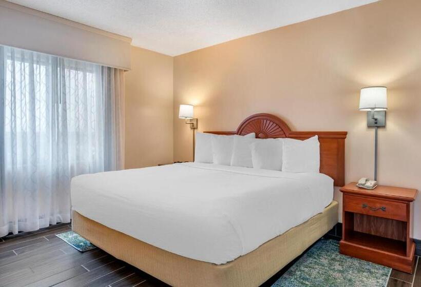 غرفة قياسية سرير كينج, Tropical Winds Resort