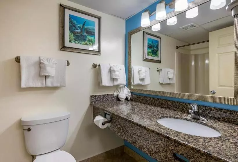 シングルデラックスルーム, Tropical Winds Resort