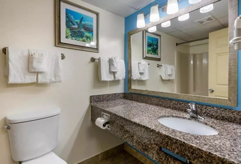キングサイズベッドのデラックスルーム, Tropical Winds Resort