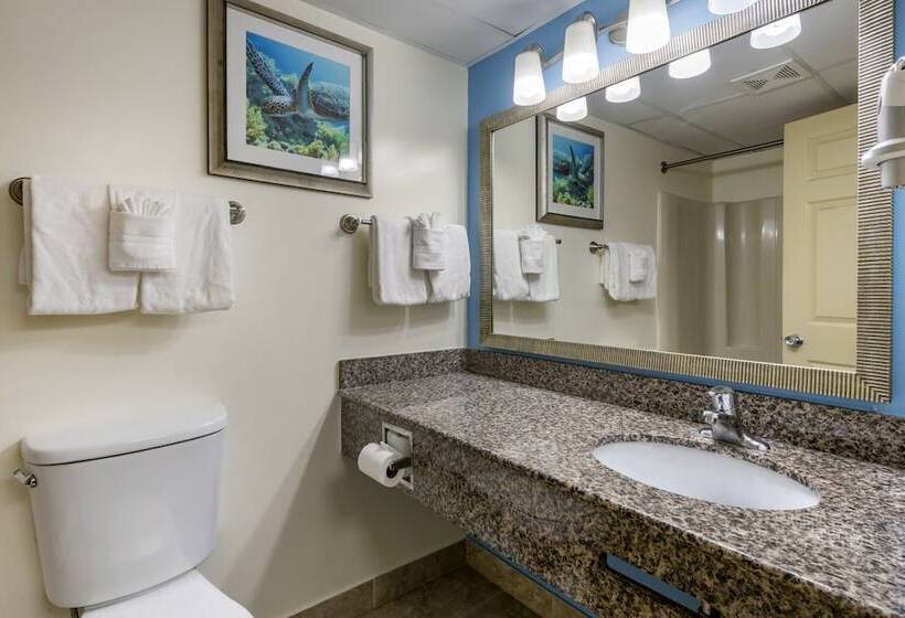 غرفة ديلوكس مطلّة علي البحر, Tropical Winds Resort