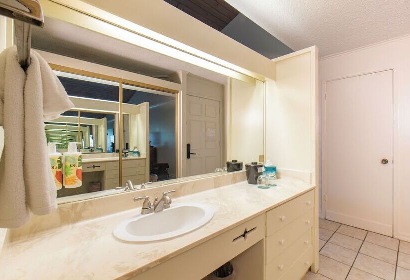 غرفة قياسية سرير مزدوج, Kaanapali Ocean Inn
