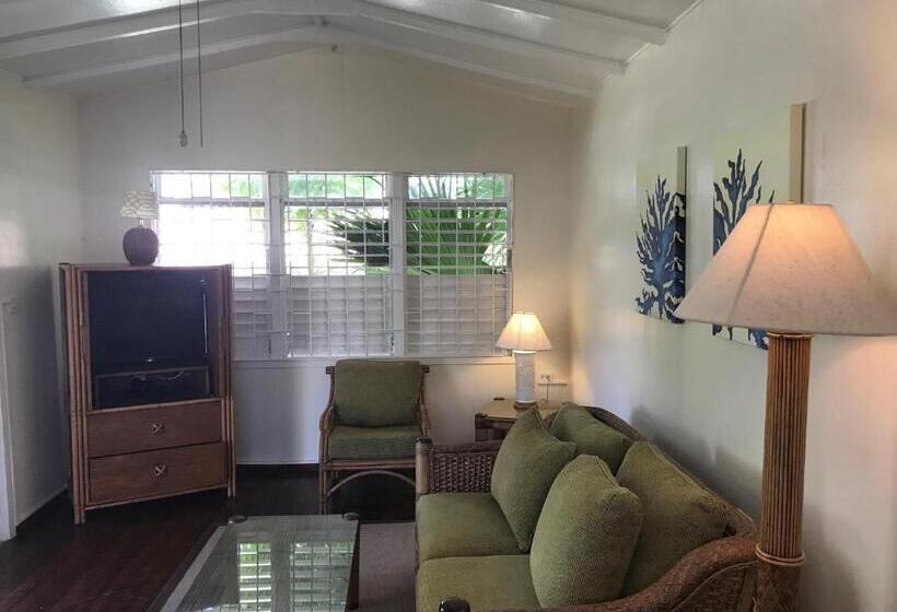 آپارتمان 1 خوابه, Coconut Court Beach