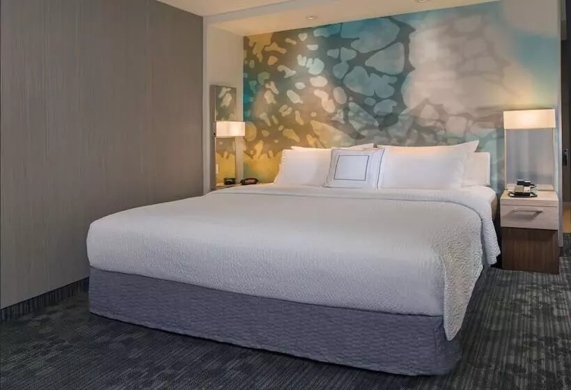 ２ダブルベッドのスタンダードルーム, Courtyard By Marriott Lansing