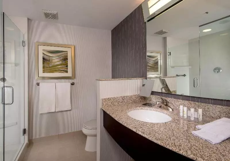 キングサイズベッドのスイートルーム, Courtyard By Marriott Lansing
