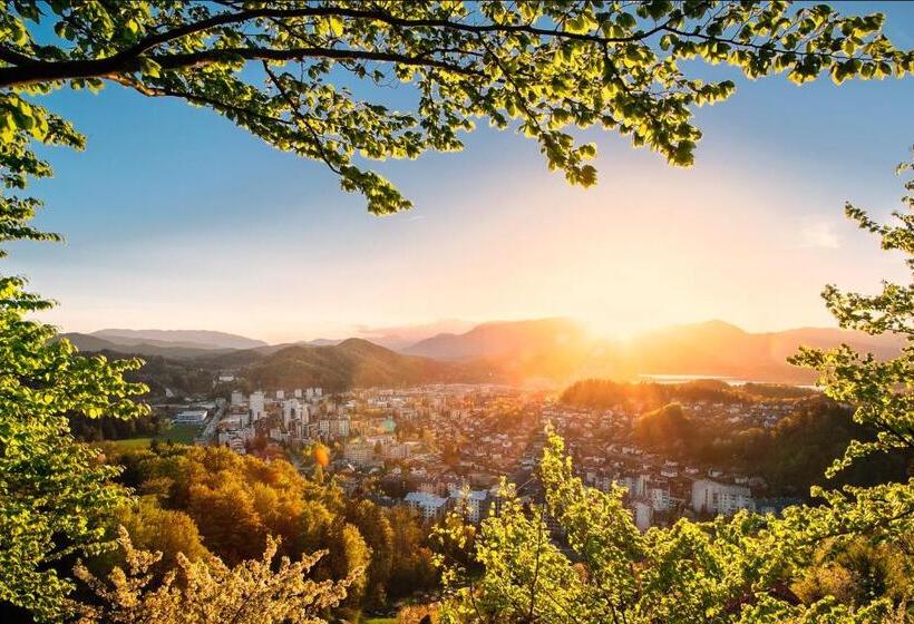 اتاق استاندارد یک نفره, Paka