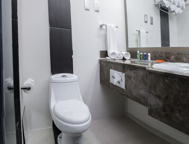 ２ダブルベッドのスタンダードルーム, Radisson Hotel & Convention Center Toluca