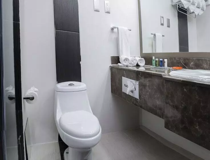Standard-huone 2 Parivuodetta, Radisson Hotel & Convention Center Toluca