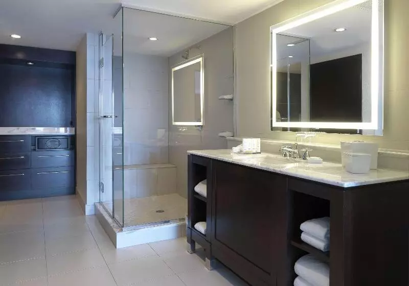 اتاق استاندارد با چشم‌انداز دریا, The Condado Plaza Hilton