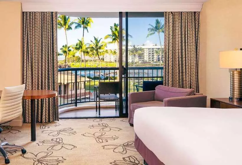 اتاق استاندارد با تخت بزرگ, The Condado Plaza Hilton