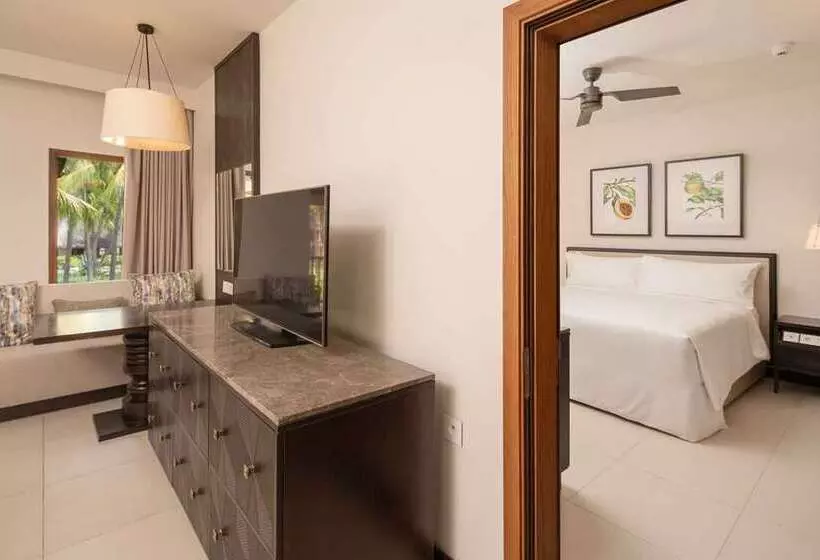 سوئیت با تخت بزرگ, The Condado Plaza Hilton