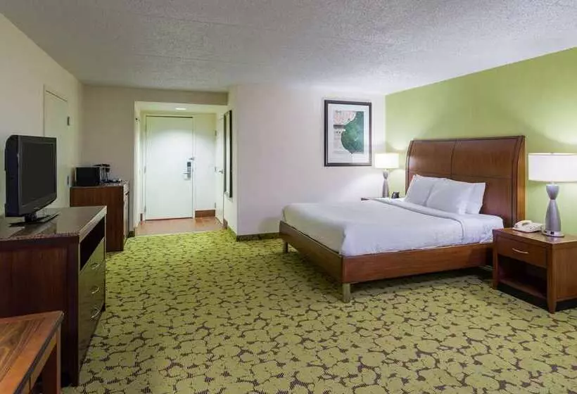 سوییت جونیور, The Condado Plaza Hilton