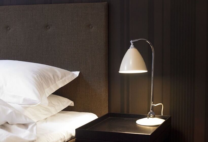 غرفة قياسية, First Hotel Grand