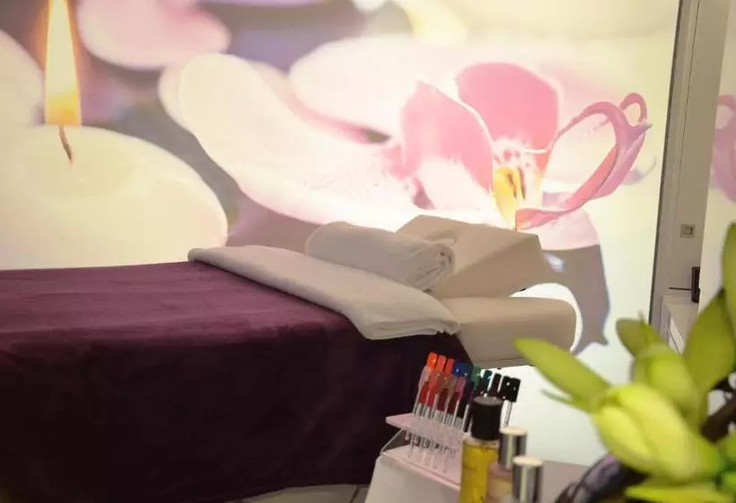 スパアクセス付スタンダードルーム, Holiday Inn Dijon Toison D Or, An Ihg