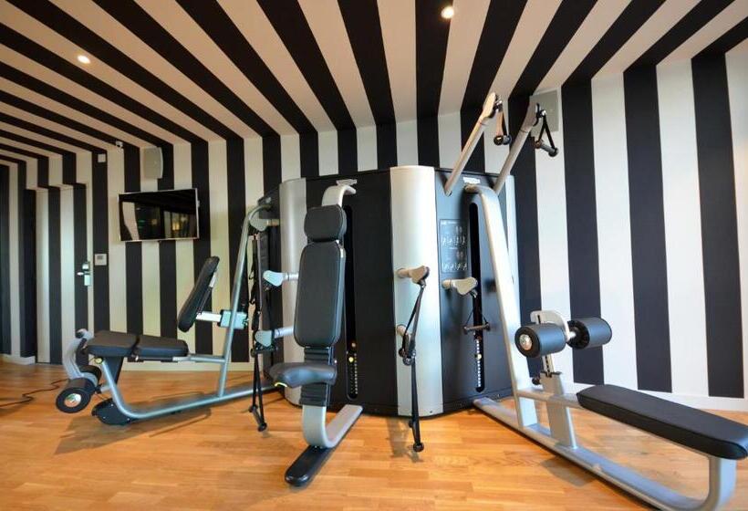 اتاق استاندارد با دسترسی به اسپا, Holiday Inn Dijon Toison D Or, An Ihg