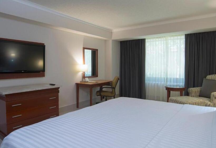 キングサイズベッドのスタンダードルーム, Holiday Inn Tuxtla Gutierrez, An Ihg