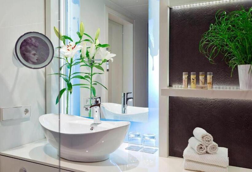 带大床的标准间, Renaissance Wien